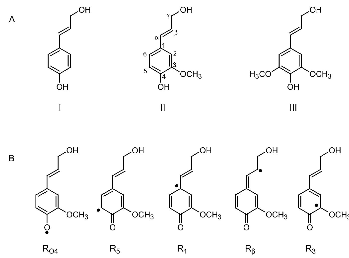 Figure 2 - from Characterization of basic p-coumaryl and