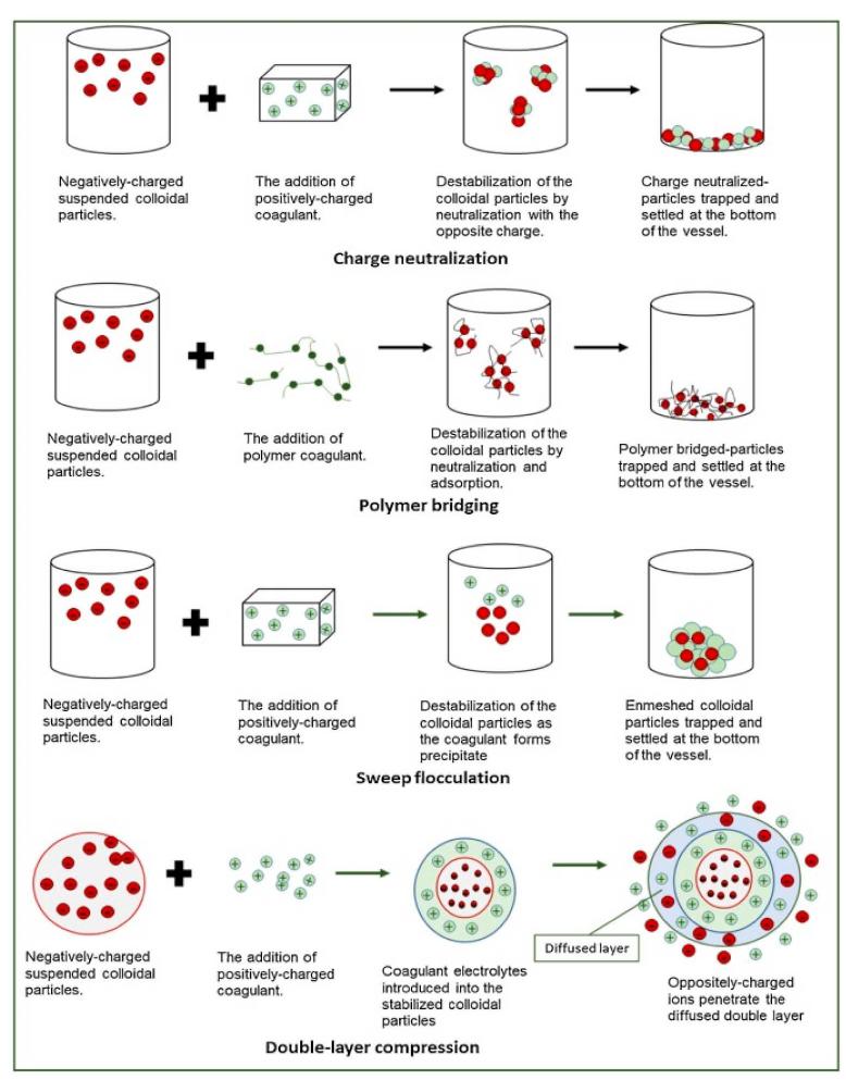 Figure 1 - from Application of Natural Coagulants for