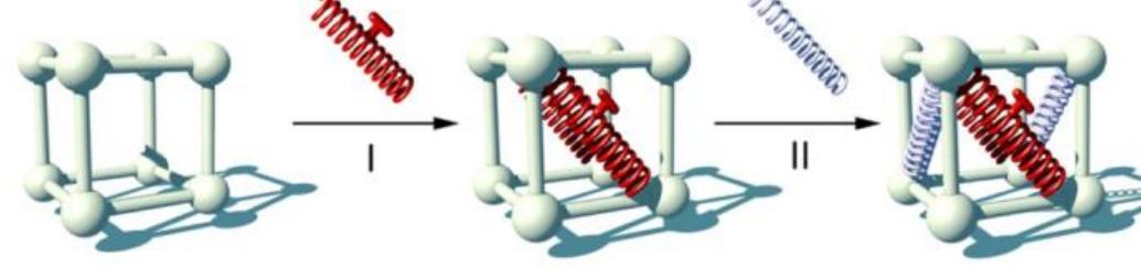 Sequential installation of capping linkers [119].