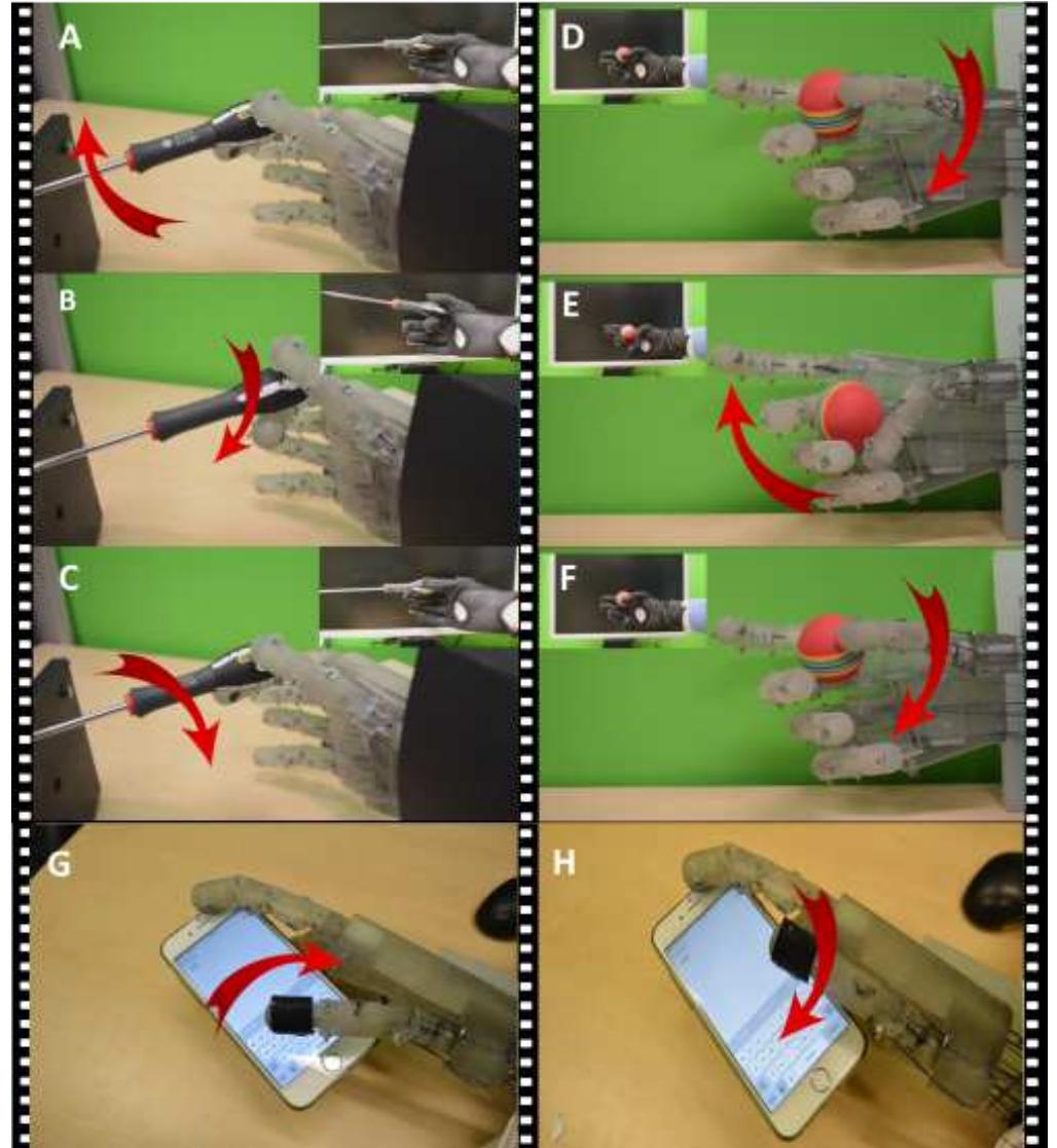 (PDF) EthoHand: A dexterous robotic hand with ball-joint thumb enables ...