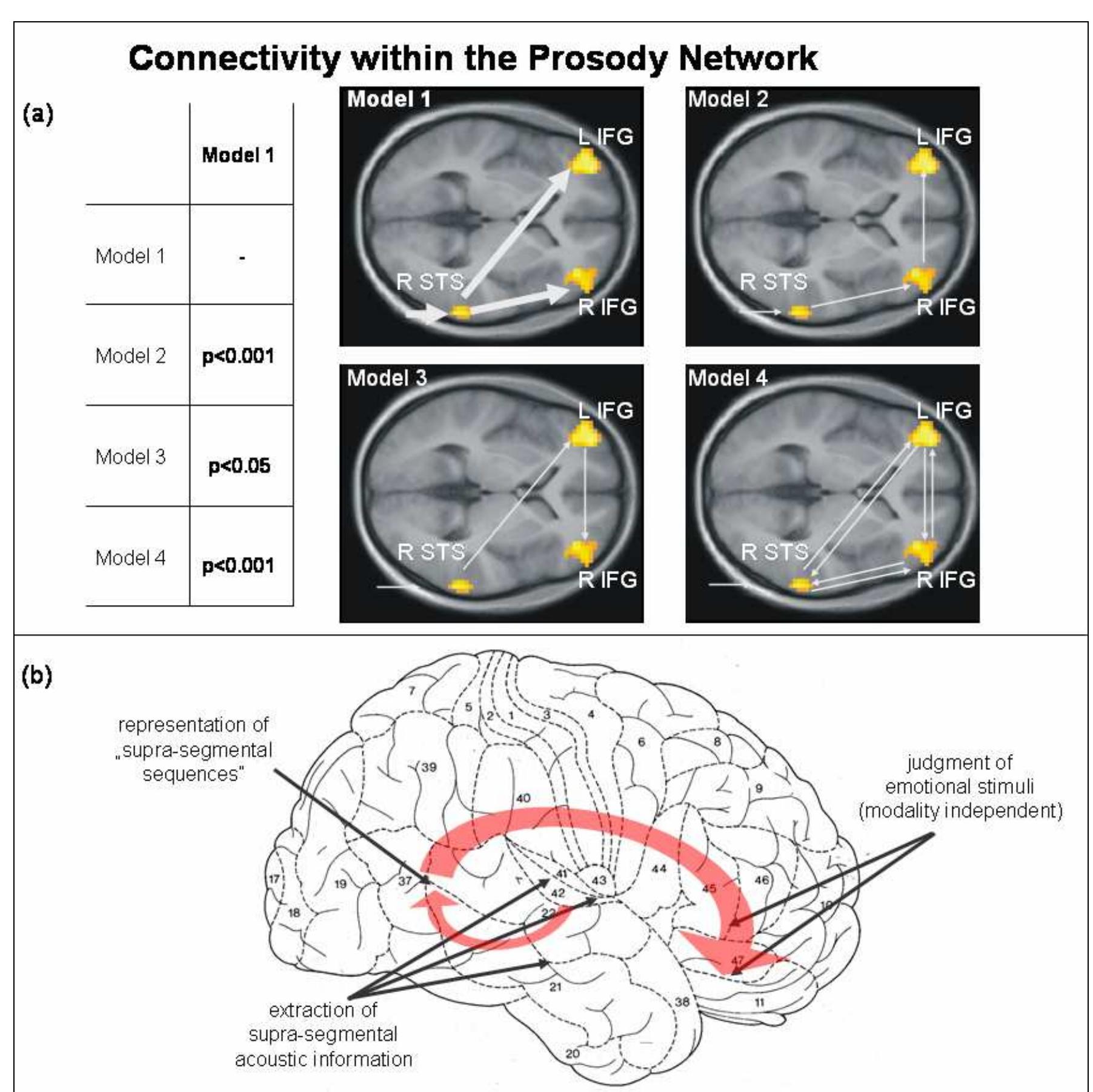 (PDF) Cerebral processing of linguistic and emotional prosody: fMRI studies