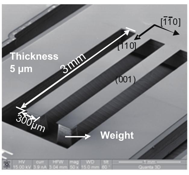 Micrograph Generator Scanning electron micrograph of microcantilever specimen