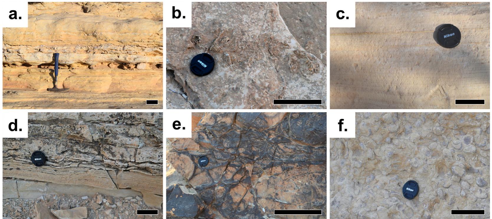 Mesoscale sedimentary features of the albian hevyon