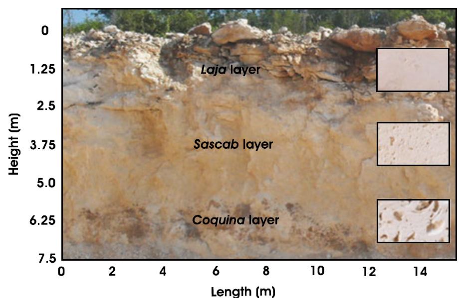 (PDF) The importance of limestone bedrock and dissolution karst ...