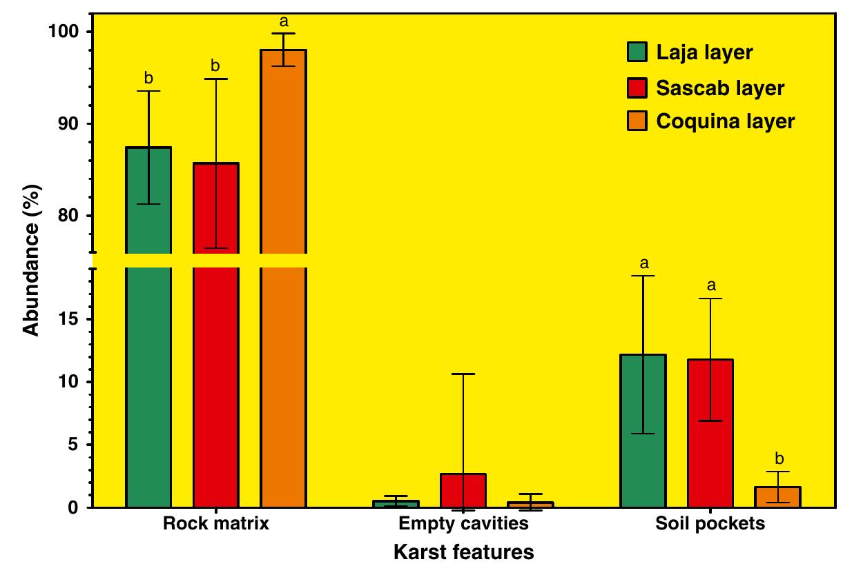 (PDF) The importance of limestone bedrock and dissolution karst ...