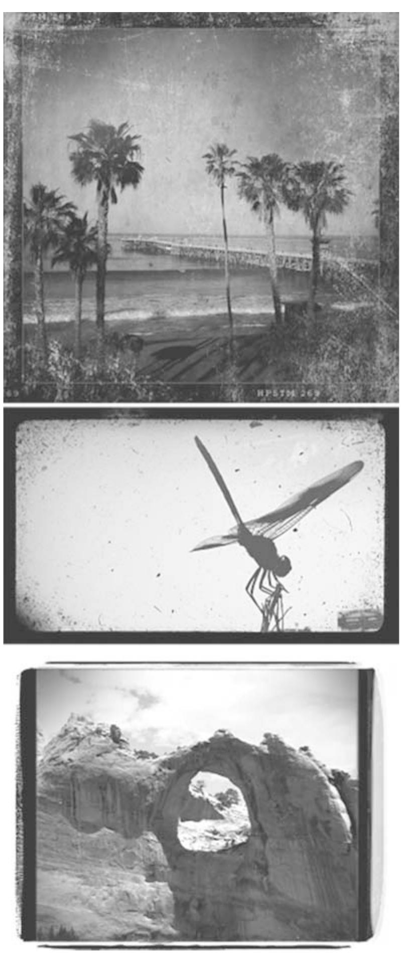 Figure 3.1 The apps replicate the look produced by old technical processes. They reveal the materiality of photographs and how images age? 