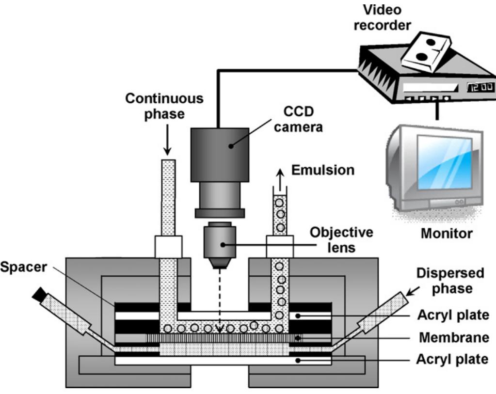 (PDF) Shirasu Porous Glass membrane emulsification: Characterisation of ...