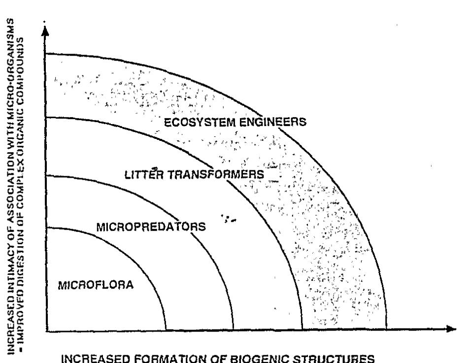 Figure 3. — Interactions among micro- and macro-organisms in soils. AS the size of organisms increases, their relationships with microflora gradually shift from predation to external and internal mutualism, and they produce biogenic structures of increasing strength. When present, larger organisms tend to be more competitive than smaller ones, but their activity is more frequently limited by low temperature and mois- ture conditions (Lavelle, 1997). 164