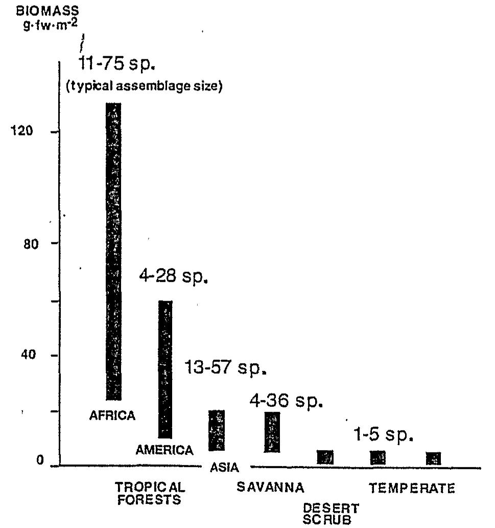 Figure 7. —- Geographical variations in biomass and species richness in termite communities (Eggleton & Bignell, 1995). Most termite communities are a mosaic of different functional groups and species with a variety of physi- cal styles of feeding: soil feeding humivorous, wood feeding xylophagous, fungus-growers or harvesters, with diverse foraging strategies inside each group. The balance between these types and, therefore, the charac- ter of assemblages varies consistently between ecosys- tems, although biogeographical,. historical, climato- logical, pedological and vegetational factors can all be