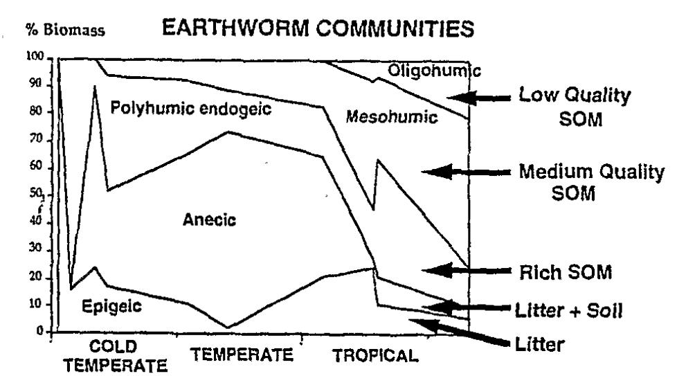 Figure 9, - Changes in the relative abundance of earthworm trophic groups along a thermo-latitudinal gradient (Lavelle, {983). Interestingly, the number of species found does not change much along this gradient and fluctuates between 6 and 15 species. Functional diversity, how- ever, increases via the progressive incorporation of new functional groups.