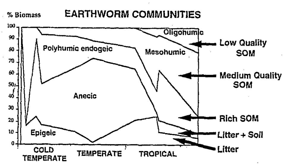 Figure 9. ~ Changes in the relative abundance of earthworm trophic groups along a thermo-latitudinal gradient (Lavelle, 1983). Figure 8. —- Changes in termite biomass and the relative proportion of trophic groups across a rainfall gradient in Ivory Coast (Lepage, 1983).