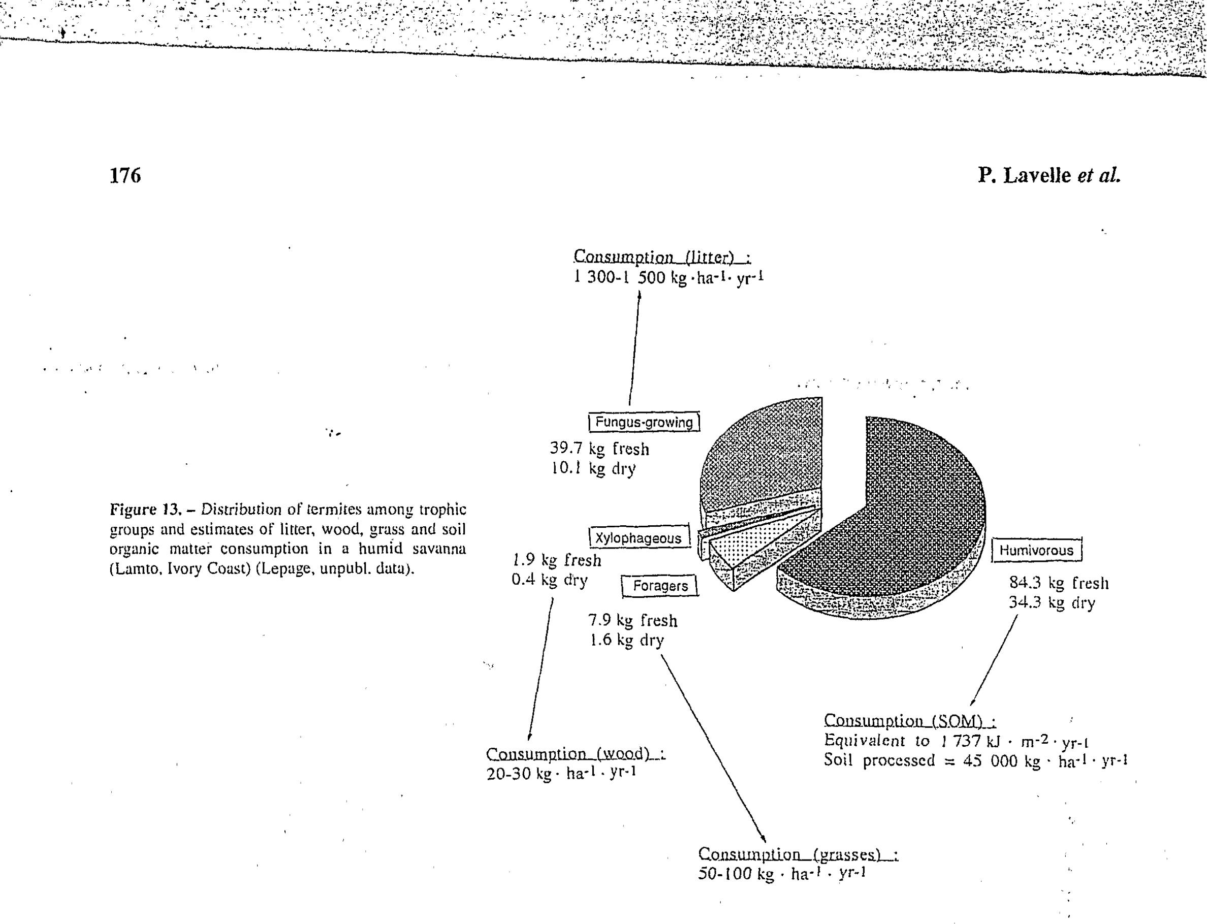 after 12 years and C stock was 28% greater after 30 years in systems with earthworms. These simula- tions clearly point at the importance of endogeic earth- worms in the chemical and physical protection of organic matter.