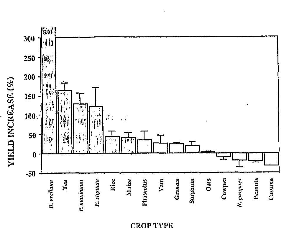 Figure 16. -— Response of different plants to earthworm inoculation in the humid tropics (Brown ef al. in press).
