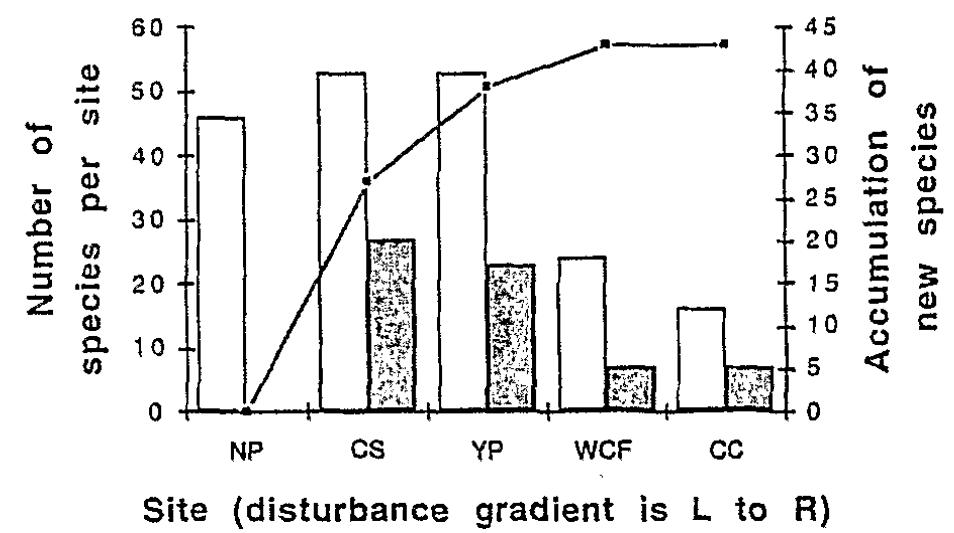 Figure 18. ~ Species richness and turnover (from qualitative 100 m transects) along a forest disturbance gradient in the Mbalmayo Forest Reserve, southern Cameroon. White bars show the total number of species sampled at each site; black bars, the number of species sam- pled not found in the next least disturbed site (i.e. the site one place to the left). The superimposed line shows the total accumulation of new species (not already sampled in less disturbed sites) along the gradi- ent. NP, near primary forest; OS, old growth secondary forest (40 years); YP, young forest plantation (5 years); WCF, weeded manu- ally cleared forest; CC, complete clearance by bulldozer. The losses of termite species diversity during the disturbance of tropical forest and its conversion to tem- porary or permanent arable use have recently beert documented (e.g. Collins, 1980; Wood et al., 1982; De Souza & Brown, 1994; Eggleton et al., 1995, 1996). At light to moderate levels of disturbance, species turn- over is a more obvious consequence than changes to abundance or biomass, but heavy disturbance reduces species diversity and abundance sharply (fig. 18). Therefore, termites are not critically limited by tree species number or type. Rather, given a suitable micro- climate, adequate food and a more or less closed canopy, termites are resilient to quite severe perturba- tion, for example so-called ‘low impact’ logging or the conversion of primary or old growth secondary forest to timber plantation or agroforestry schemes. However, it is clear that this resilience is not simply due to the maintenance of the original forest assemblage, but is accompanied by large changes in the relative abun- dances of trophic groups, as wood-feeding species take advantage of the greater quantities of litter made avail- able by disturbance. Soil-feeders are particularly strongly affected by the perturbation of forests, so the mixing of mineral and organic miterial which is cha- racteristic of their activities is presumably reduced. Preliminary data show that abundances of soil-feeding species (which do not appear to fix atmospheric N,) are correlated with available N, but this requires confir- mation. De Souza & Brown (1994) showed that frag- ments of forest in Amazonia surrounded by cleared