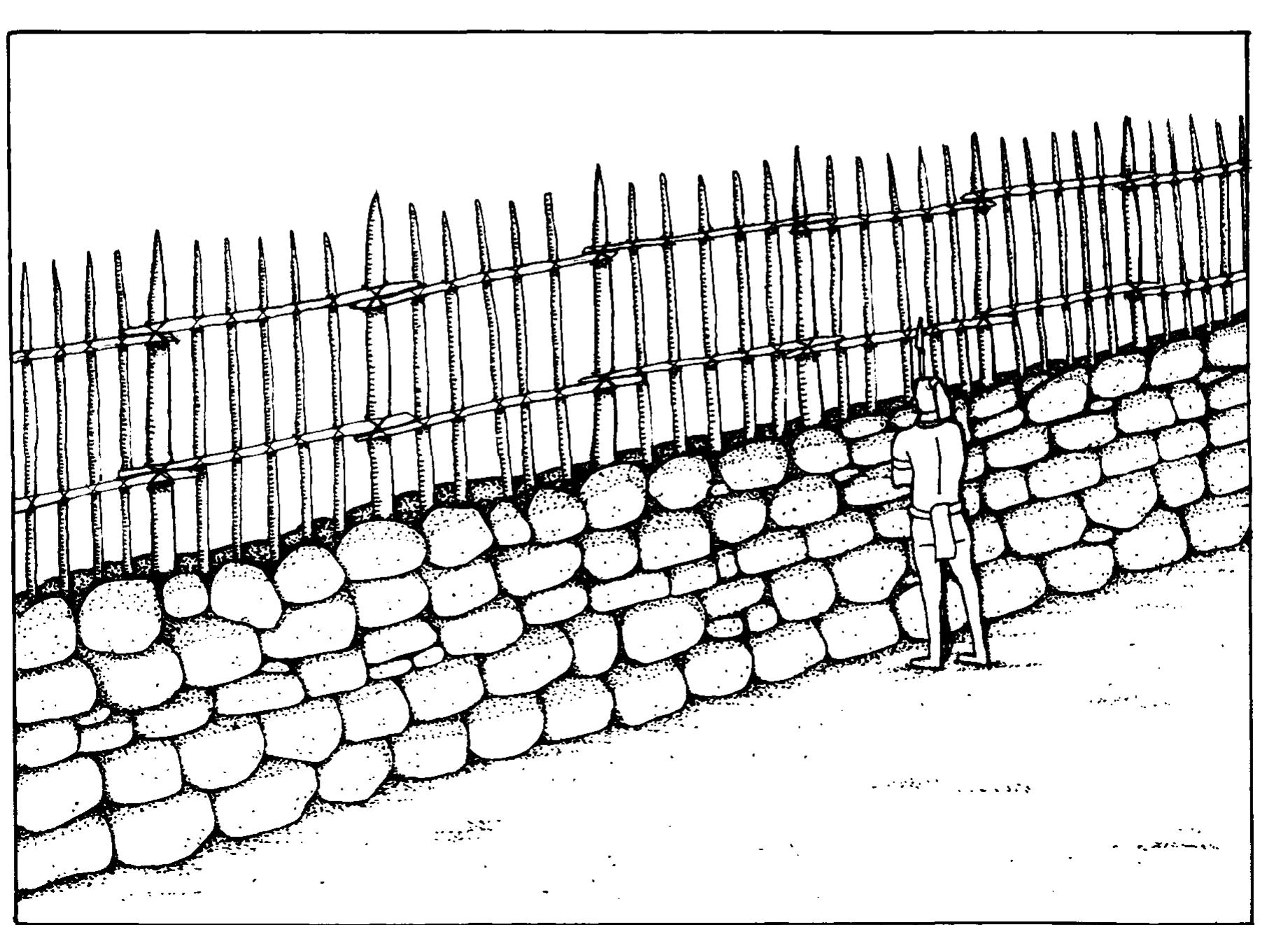 Reconstruction of a typical petexbatun defensive wall and