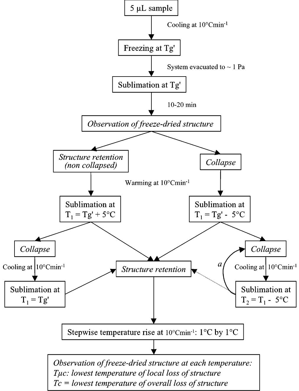 (PDF) Collapse Temperature of Freeze-Dried Lactobacillus ...