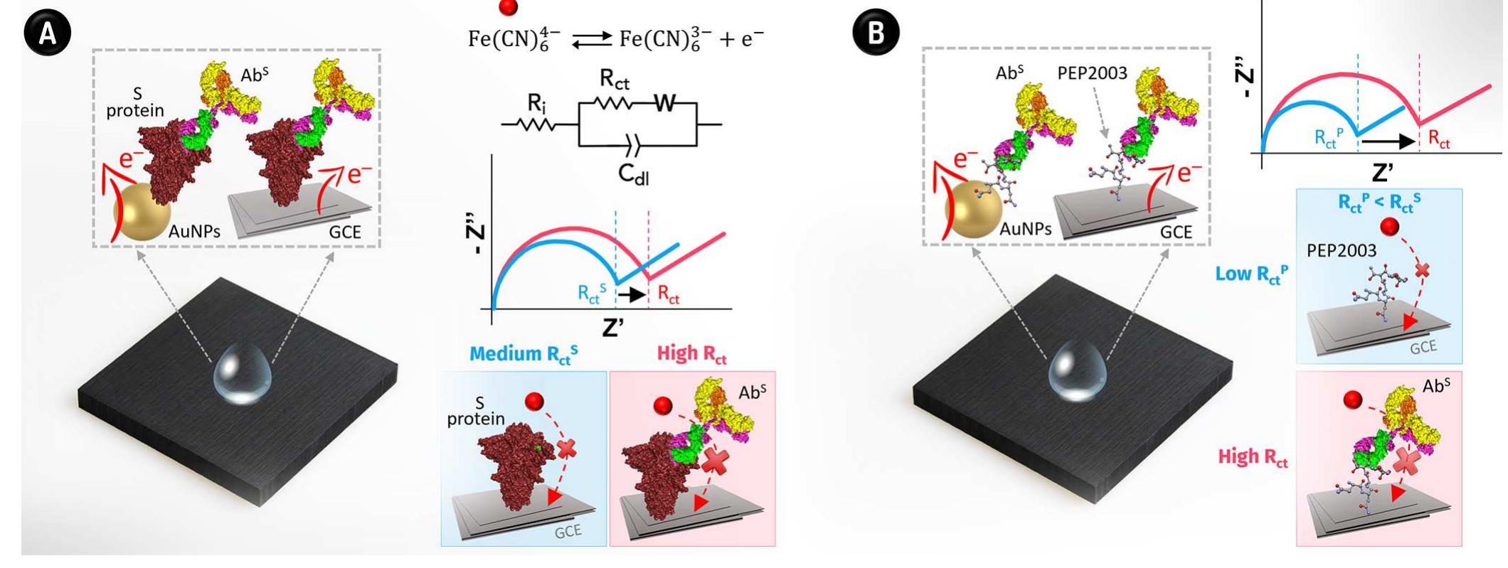 (PDF) Modular Label-Free Electrochemical Biosensor Loading Nature ...