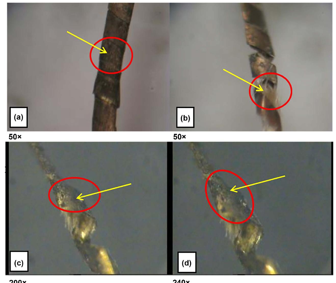 (PDF) An Applied Study on Using Laser for the Conservation of an ...