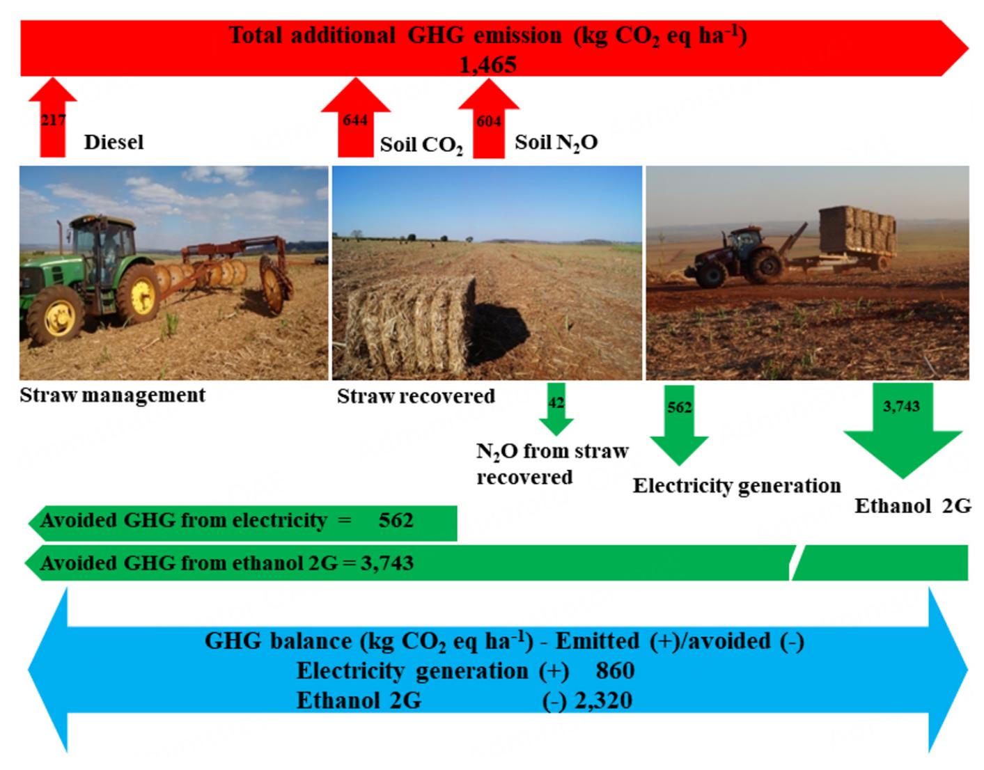 Straw Offset (PDF) Greenhouse gas emissions and offset potential from sugarcane ...