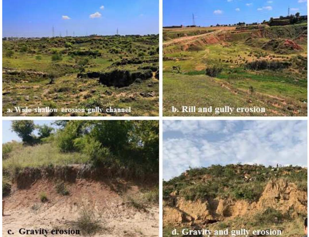 Soil erosion of grasslands (sparse trees) in gujar khan