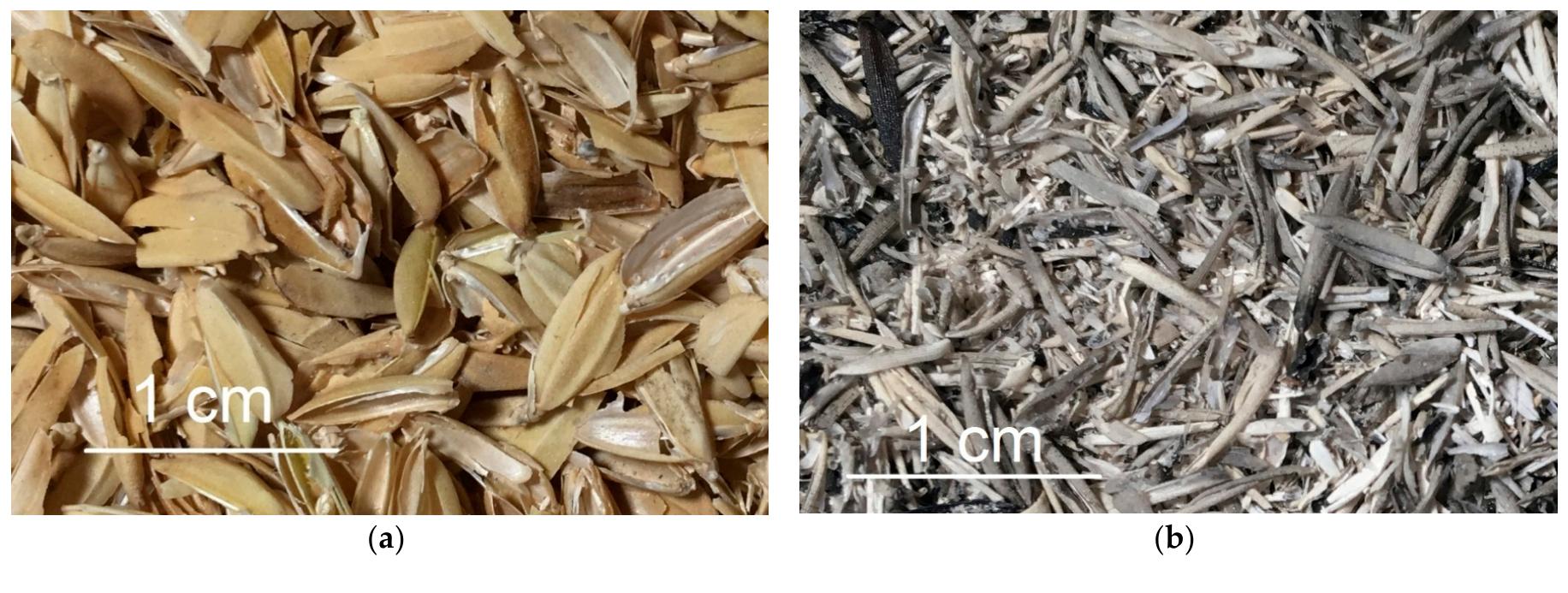 Compose Rice Hull (a) the rice hulls; (b) the rice hulls ash. a key to the