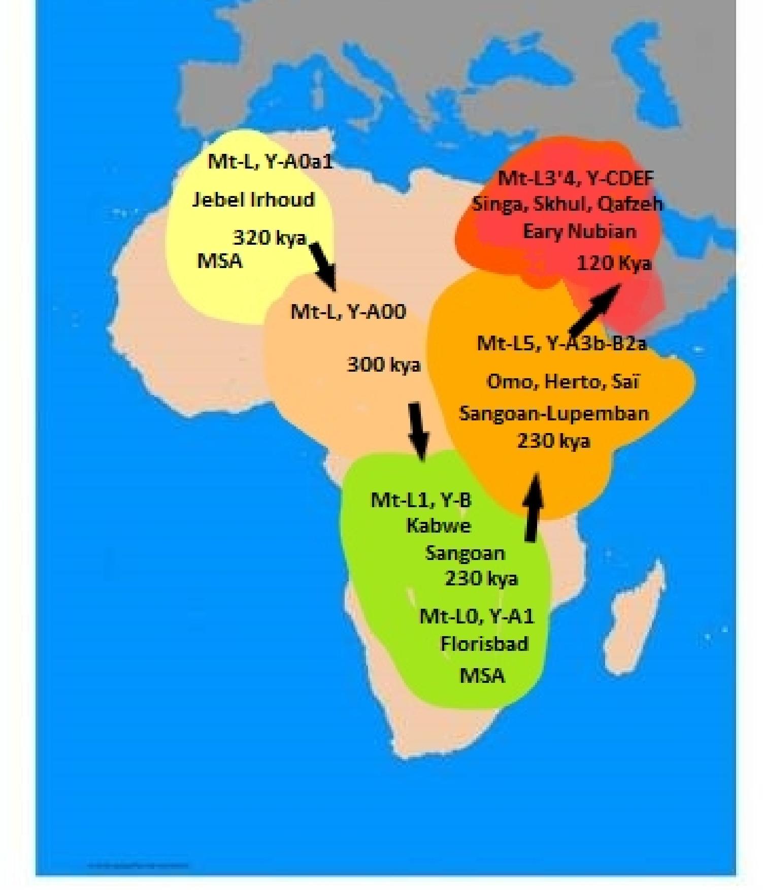 (PDF) Following the evolution of Homo sapiens across Africa using a ...