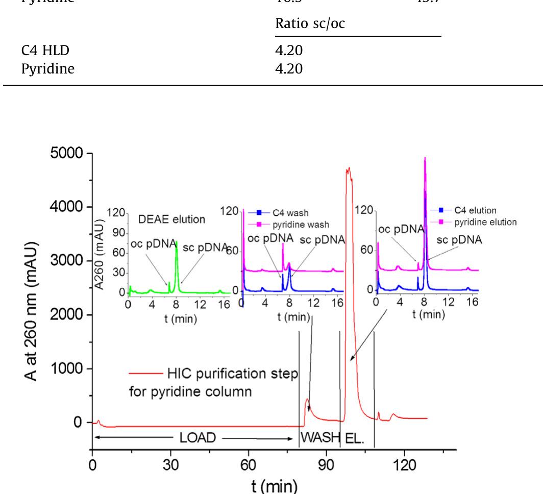 (PDF) Chromatographic purification of plasmid DNA on hydrophobic ...