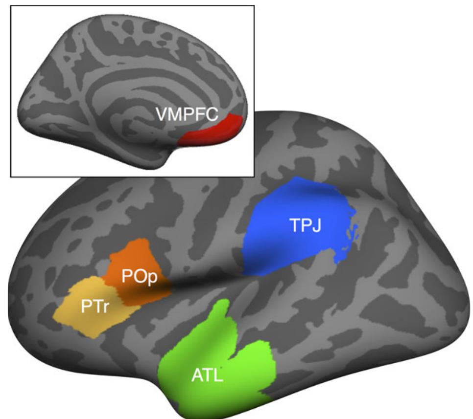 Fig. 2. Five regions of interest overlayed on the lateral (insert: medial) inflated cortex of the Freesurfer fsav- erage template brain.  Single-trial mixed-effects  Source estima 600 ms in 50  source activity and modeled parse steps were compared using linear regression (Baayen, Davidson, & Bates, 2008; Gelman & Hill, 2006). es per ROI were averaged within 100 ms intervals which spanned —100 to ms increments. Estimates were modeled as a function of fixed effects for  block (STORY or LIST), the number of parse steps estimated by the model, and the  interaction be  ween block and parse steps. Models also included nuisance predictors for  word length in letters (LEN; mean centered), trial order (ORD; mean centered), sentence position in the story (POS; mean centered), word frequency (FRQ; log transformed and  mean centered  , based on the HAL written language corpus; Balota et al., 2007), and ran-  dom intercepts per participant. Parse step and sentence order predictors that were defined based on the STORY block were applied to the same words when they occurred in the  LIST block. 