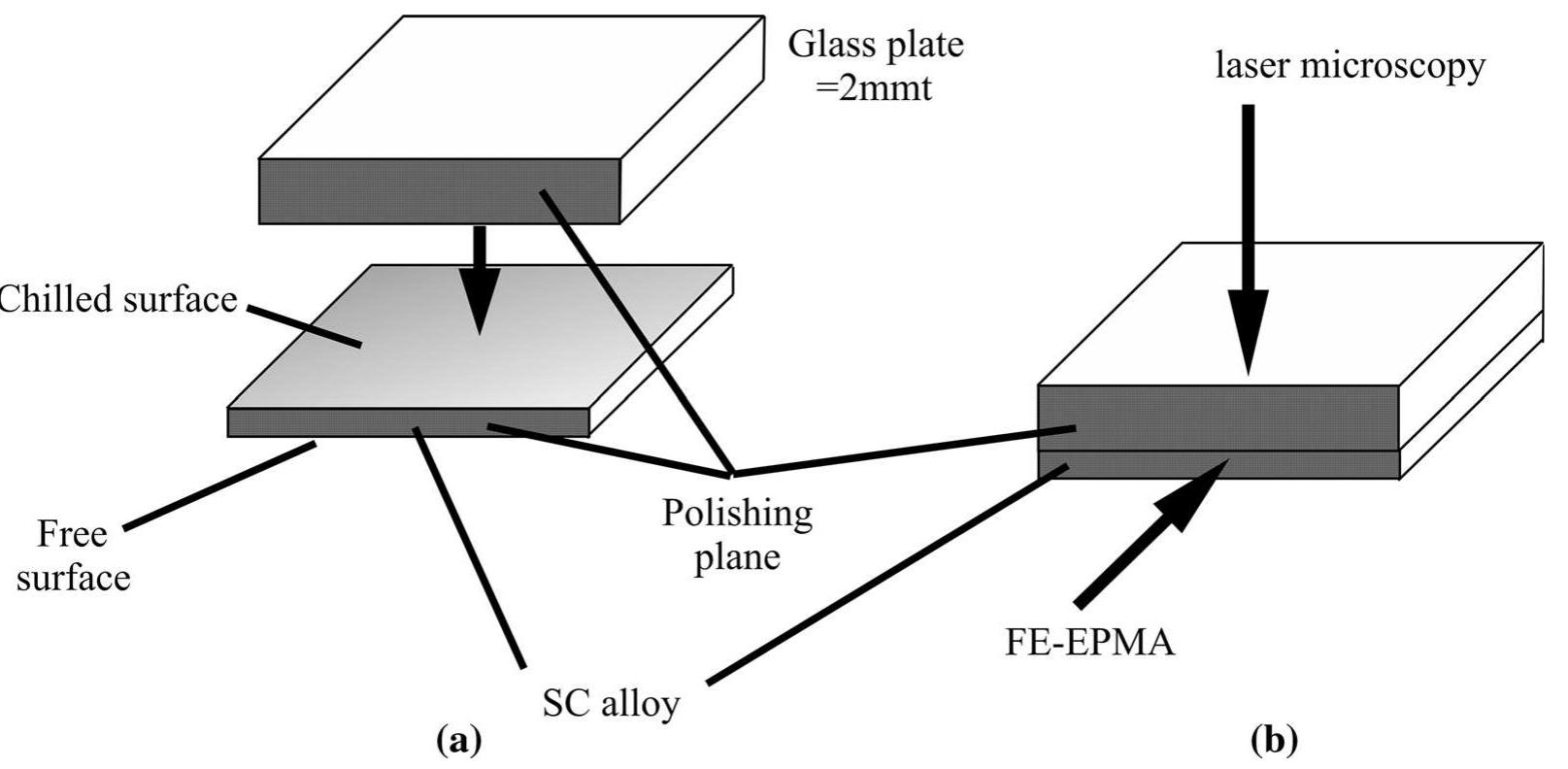 Microstructure Observation Microscope (PDF) Microstructure Formation in Strip-Cast RE-Fe-B Alloys for Magnets