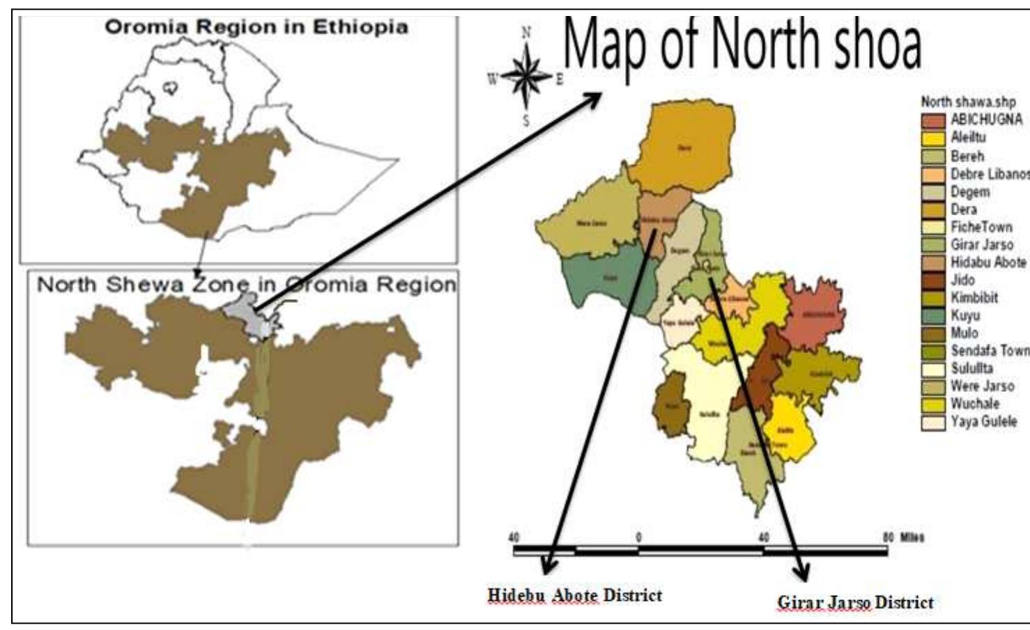 Oms Map Maps of the surveyed districts. as oms’ mmt: biatch real ae