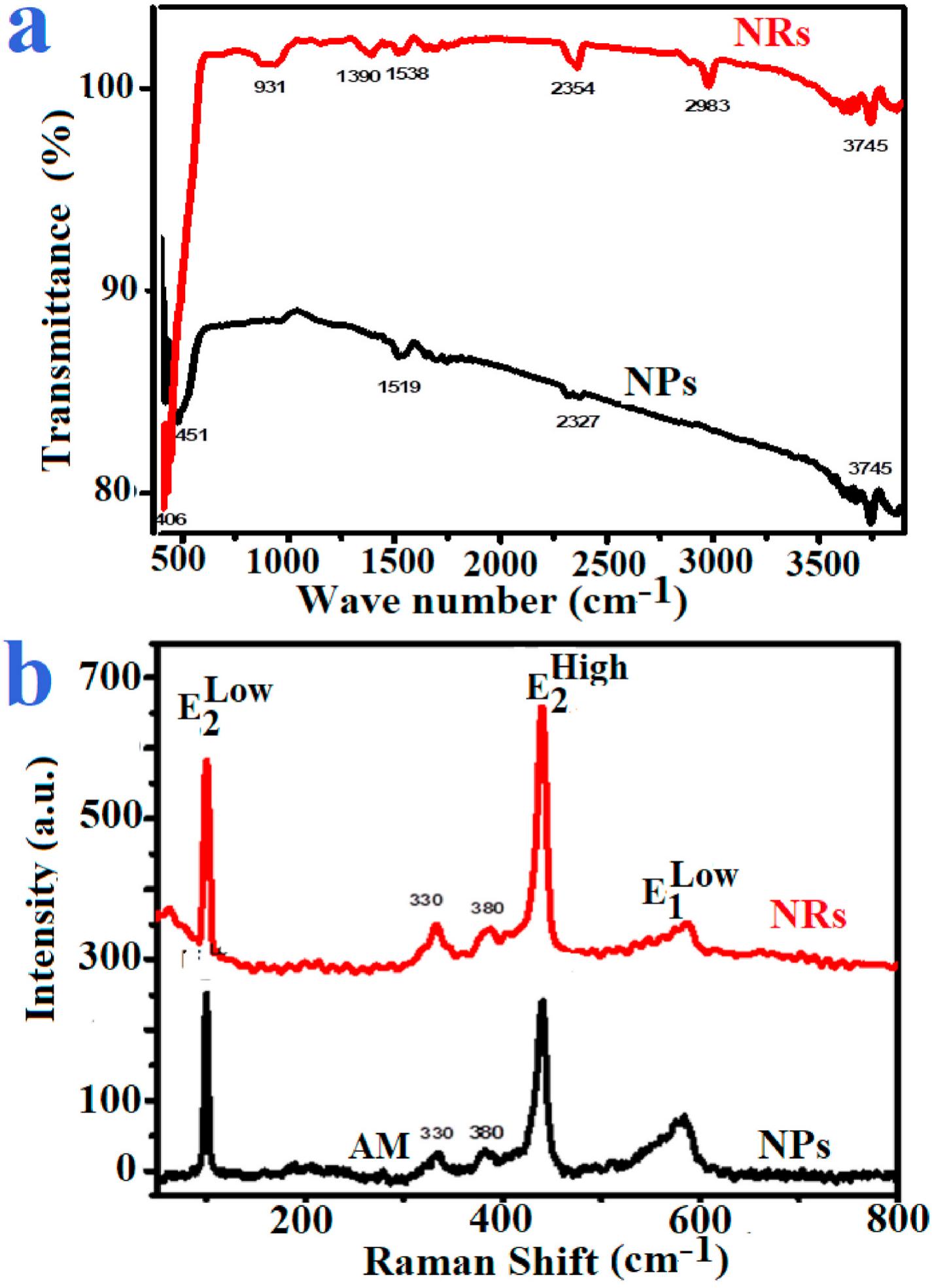Ftir (a) and raman (b) spectra of zno nps and zno nrs.